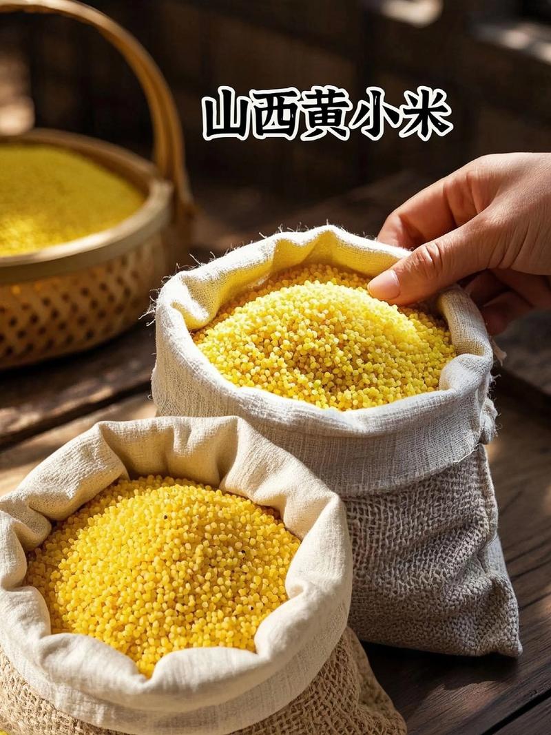 山西红枣:自然馈赠与美食传奇