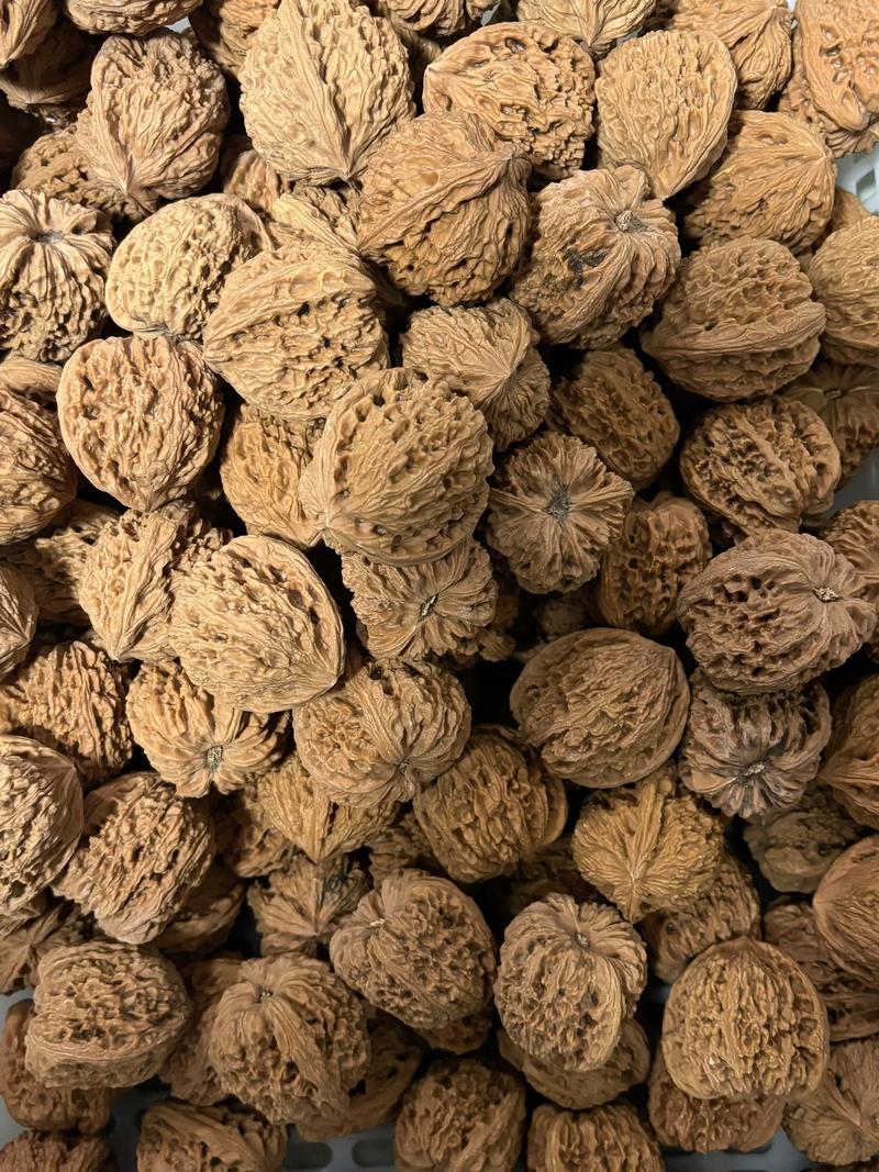 核桃批发行业最新动态