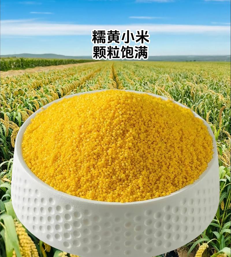 山西特产